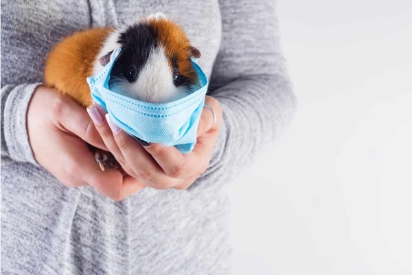 Smartphones et santé : démêler le vrai du faux